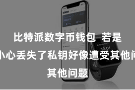 比特派数字币钱包  若是不小心丢失了私钥好像遭受其他问题
