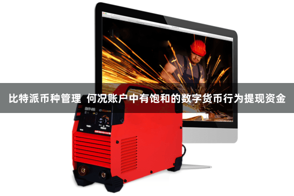 比特派币种管理  何况账户中有饱和的数字货币行为提现资金