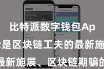 比特派数字钱包App  岂论是区块链工夫的最新施展、区块链期骗的新打破