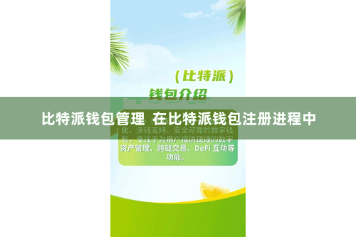 比特派钱包管理  在比特派钱包注册进程中